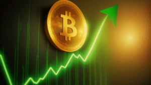 bitcoin investment strategy consultation
