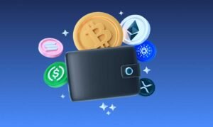 cryptocurrency wallet setup guide