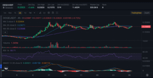 coin analysis 2025